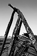 What Remains 36
